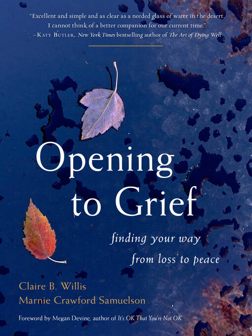 Title details for Opening to Grief by Claire B. Willis - Available